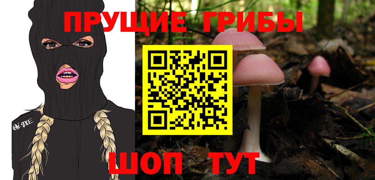 Галлюциногенные грибы прущие грибы Ноябрьск