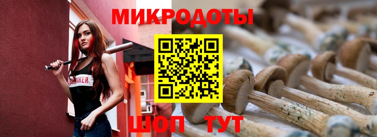 Псилоцибиновые грибы мицелий  наркотики  Ноябрьск  Вход с VPN 